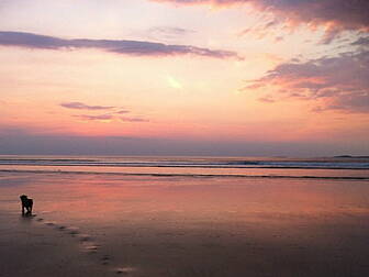 Sligo harnesses social media t...